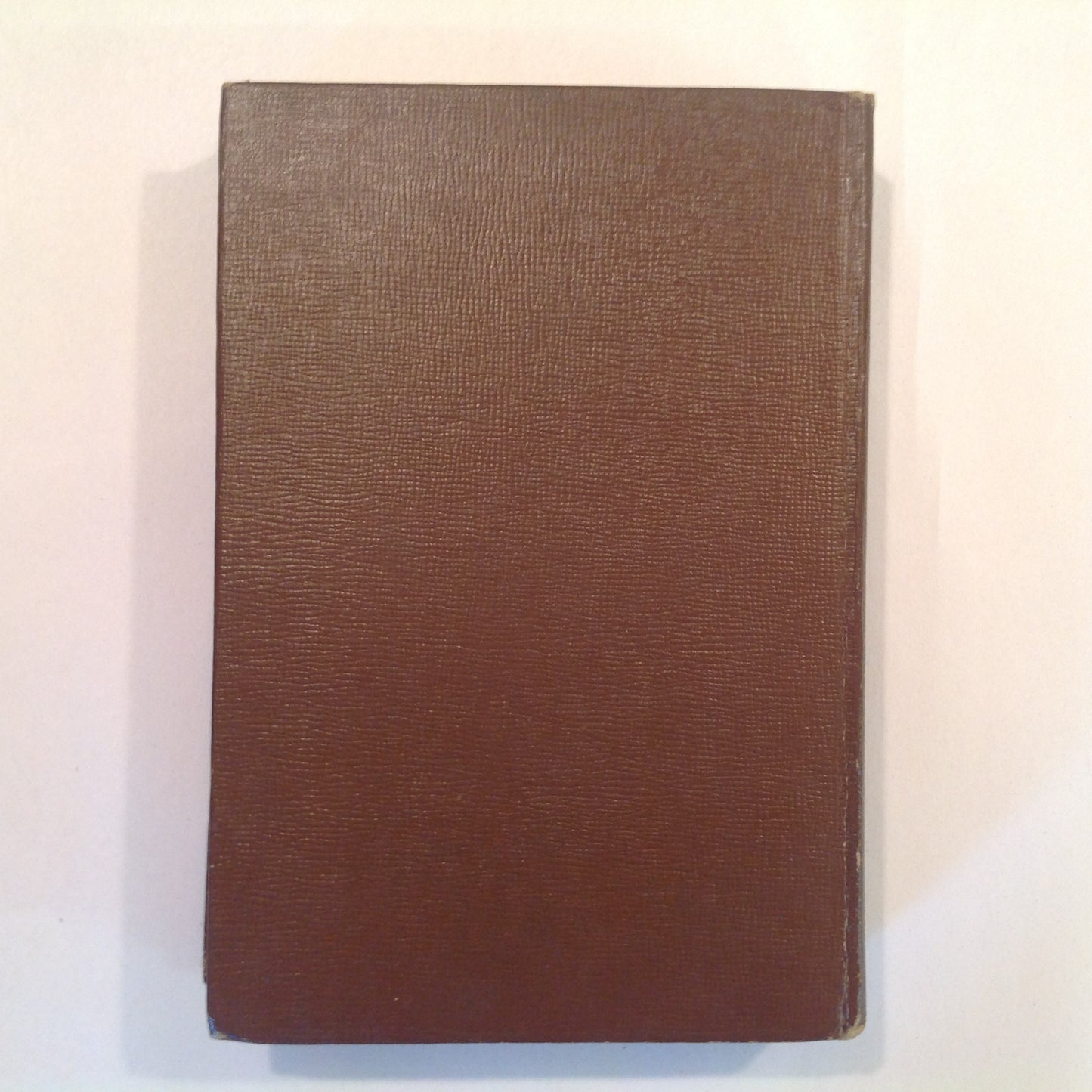 Vintage 1927 Young Reader Hardcover Joy and Pam Dorothy Whitehill Whitman First Ed