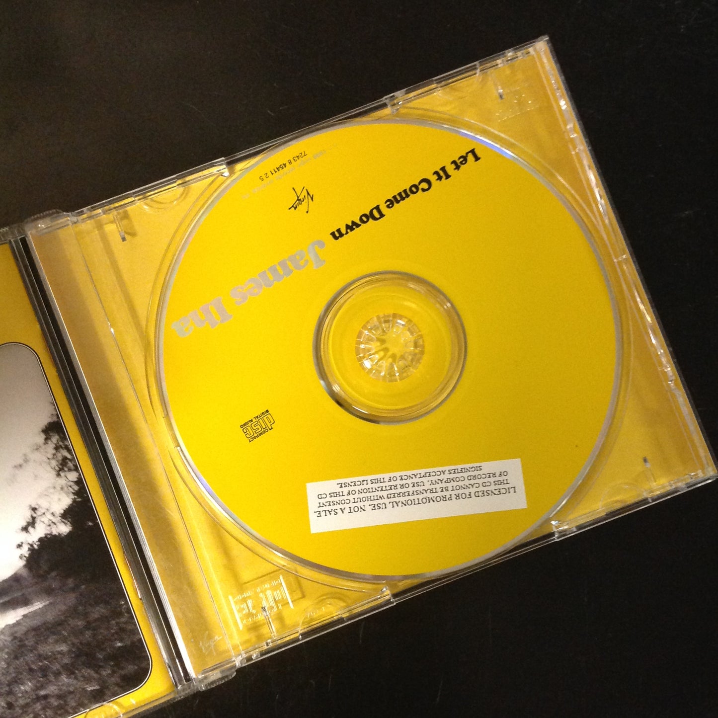 BARGAIN CD James Iha Let It Come Down Virgin 724384541125