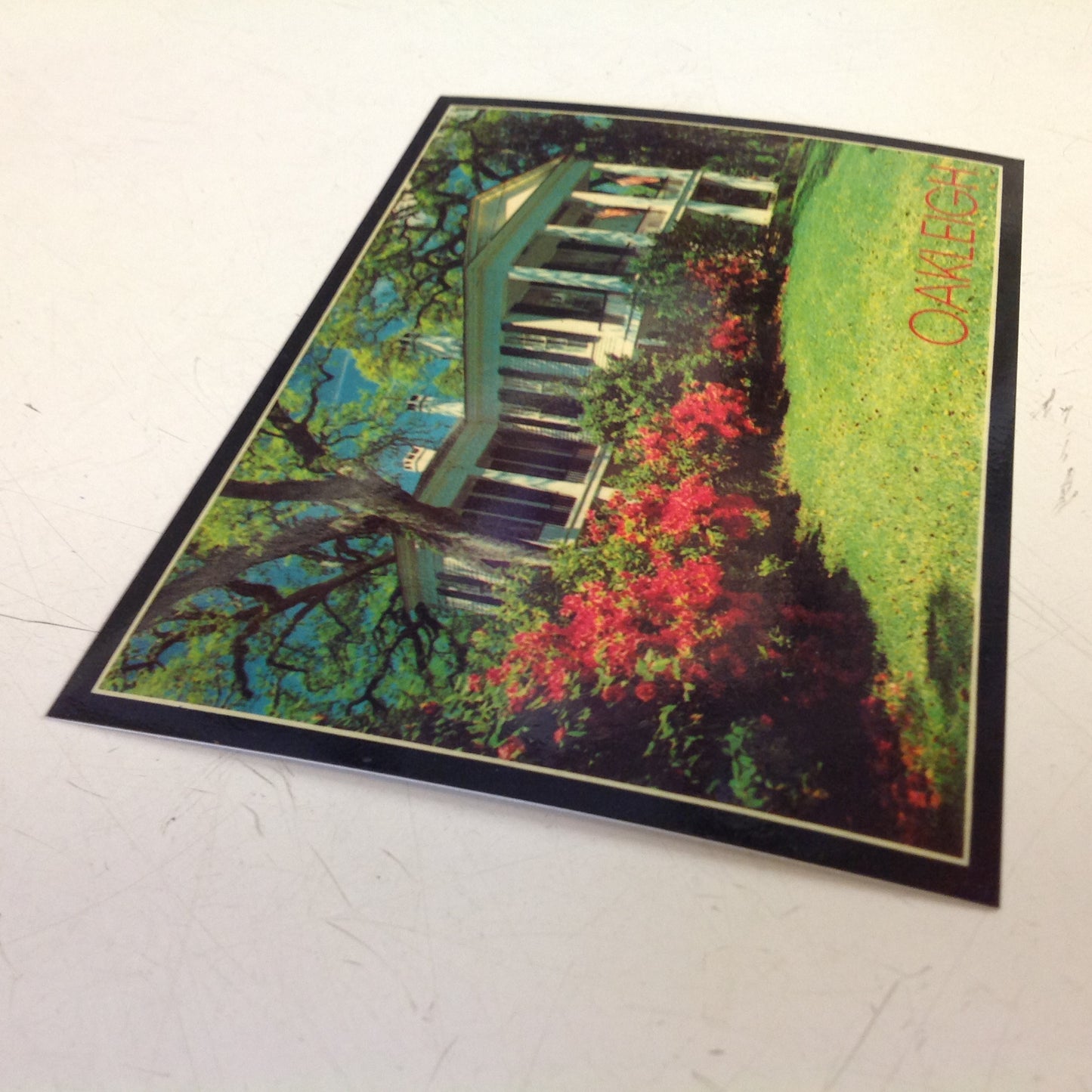 Vintage Dexter Supreme Color Postcard Oakleigh Home Mobile Alabama