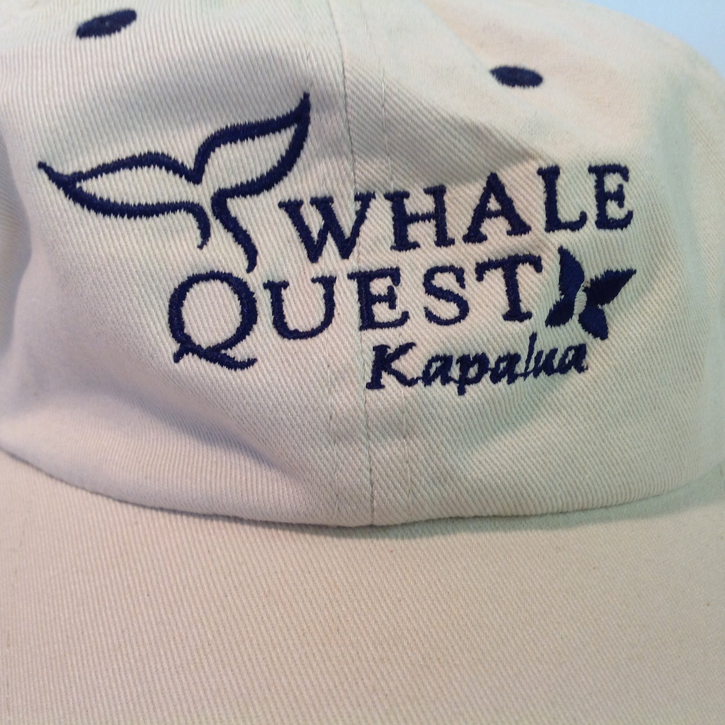 Vintage Imperial Headwear Kapalua Whale Quest Hawaii Golf Souvenir Beige Baseball Cap