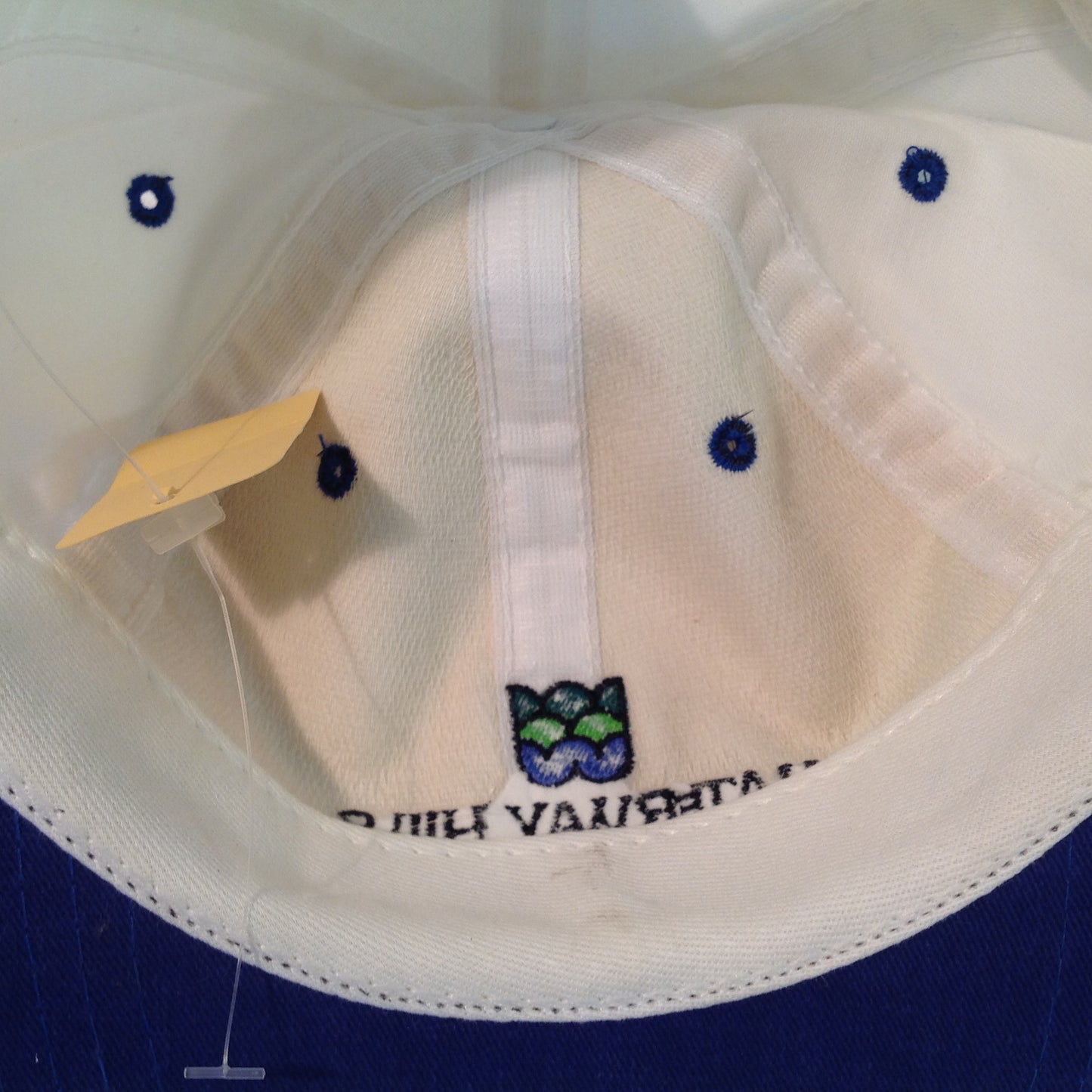 Vintage Cali Fame Robert Trent Jones Design Waterway Hills Myrtle Beach Golf Souvenir White Baseball Cap