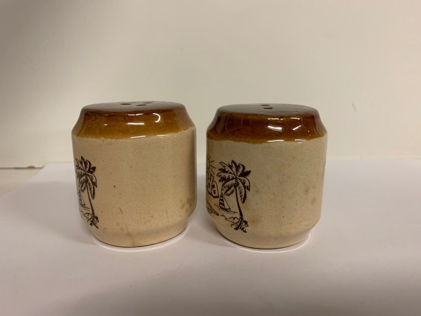 Vintage Florida Souvenir Ceramic Salt & Pepper Shakers Dolphins Travel Trip