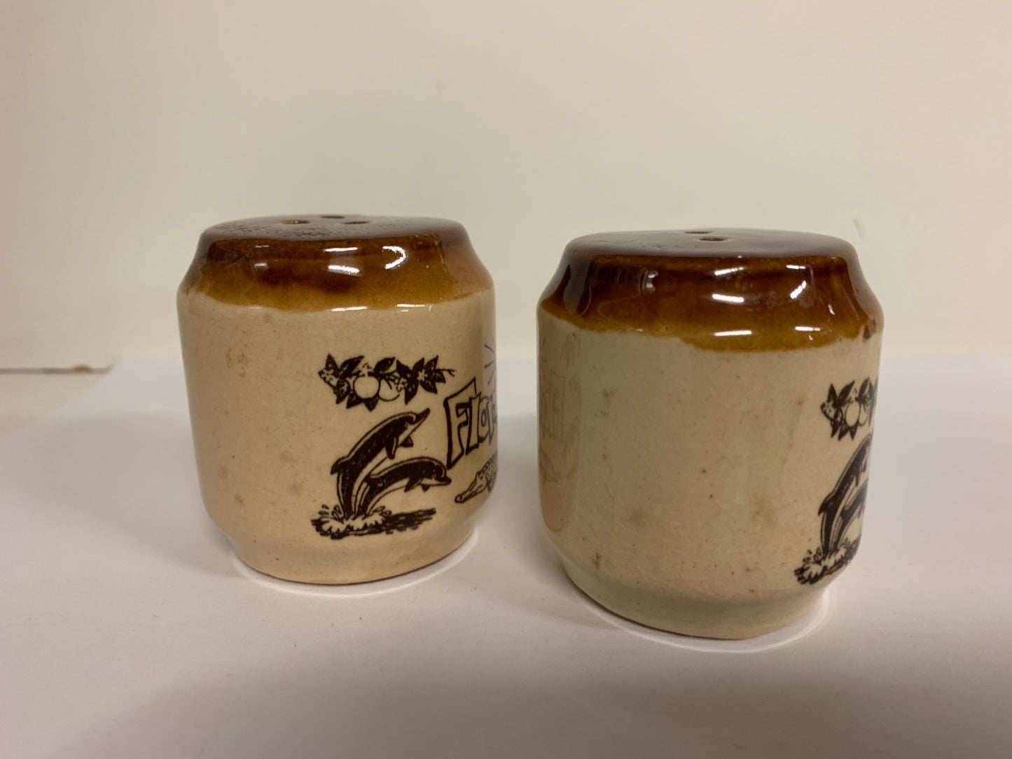 Vintage Florida Souvenir Ceramic Salt & Pepper Shakers Dolphins Travel Trip