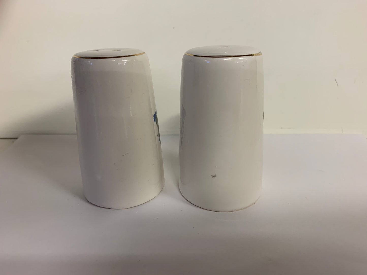 Vintage Souvenir St. Augustine Florida Salt and Pepper Shaker Set