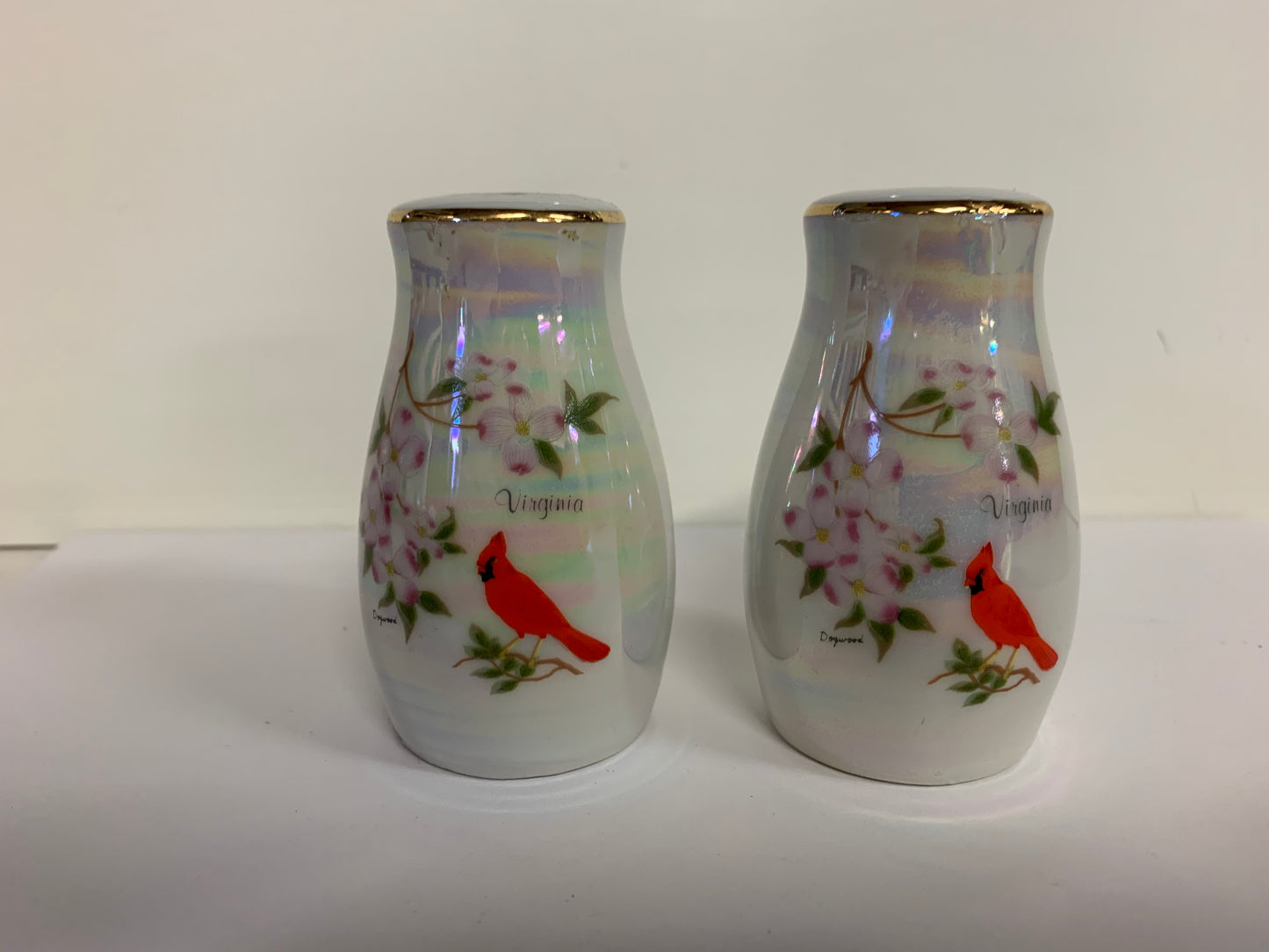 Vintage Souvenir Virginia Iridescent Salt and Pepper Set with Dogwood and Cardinal