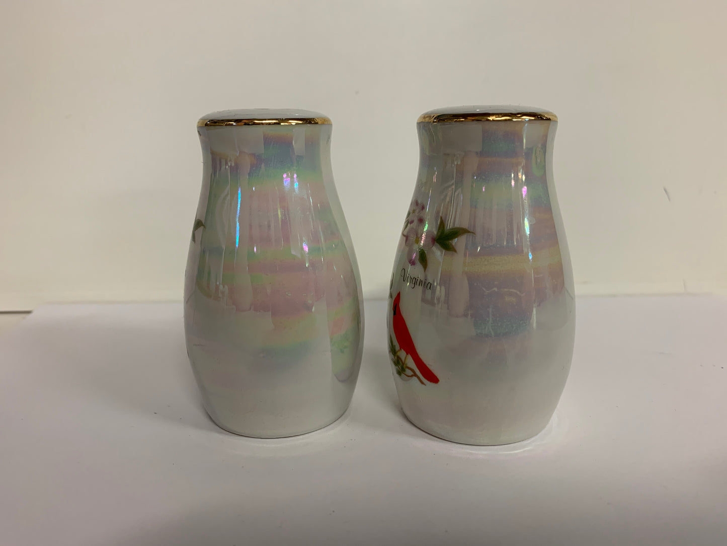 Vintage Souvenir Virginia Iridescent Salt and Pepper Set with Dogwood and Cardinal