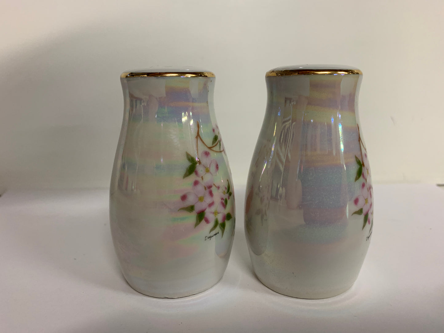 Vintage Souvenir Virginia Iridescent Salt and Pepper Set with Dogwood and Cardinal