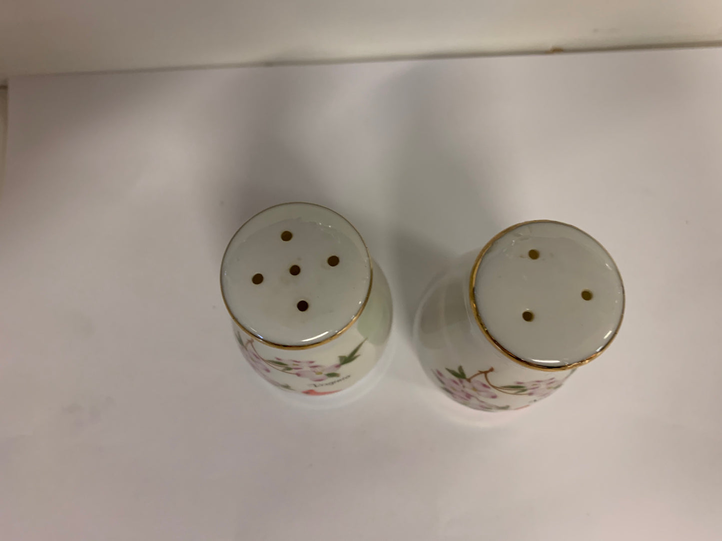 Vintage Souvenir Virginia Iridescent Salt and Pepper Set with Dogwood and Cardinal