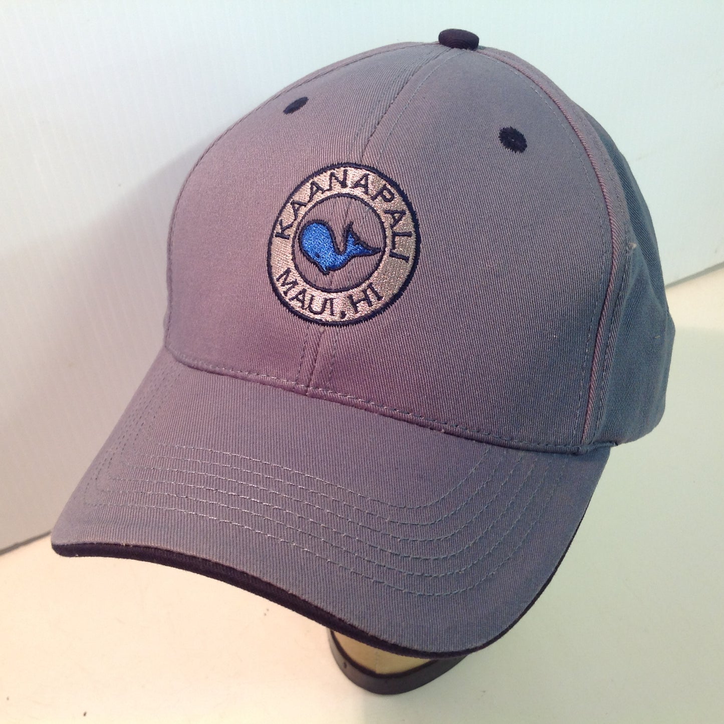 Vintage Texace PRO 98 Authentic Kaanapali Golf Course Lahaina Maui Hawaii Tournament Souvenir Blue-Grey Baseball Cap