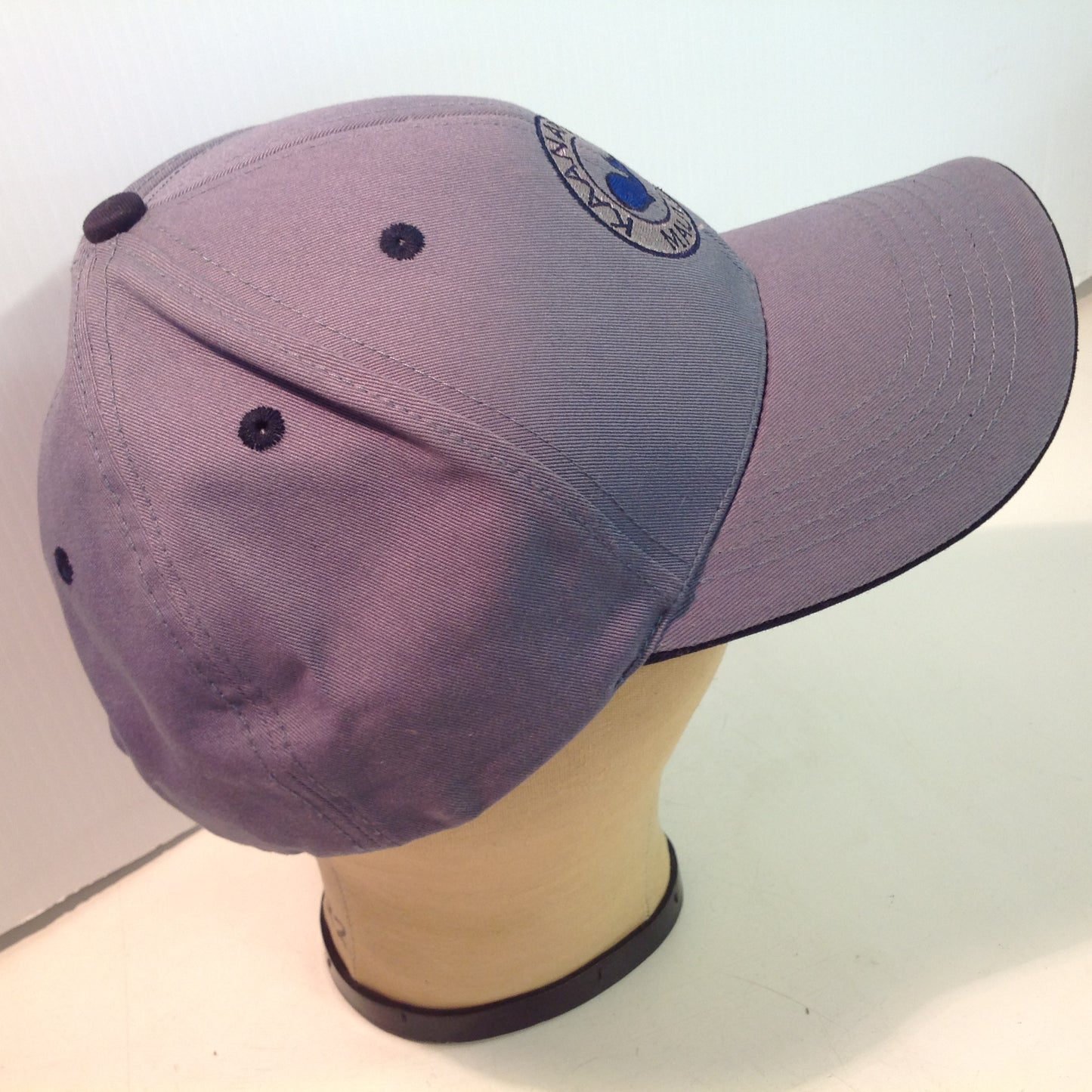 Vintage Texace PRO 98 Authentic Kaanapali Golf Course Lahaina Maui Hawaii Tournament Souvenir Blue-Grey Baseball Cap