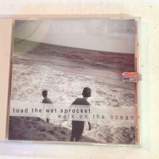 Toad The Wet Sprocket - Walk On The Ocean *Single #202