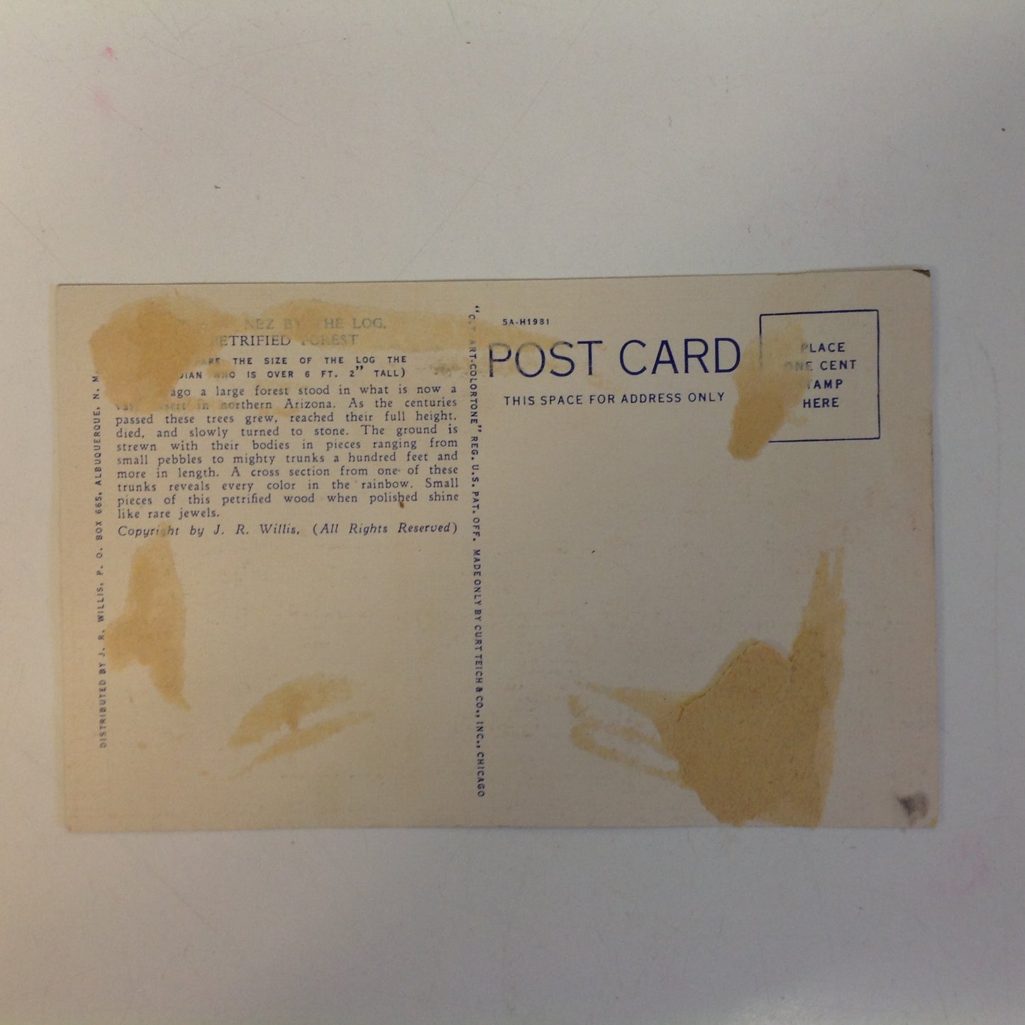 Vintage Curteich Color Postcard Indian on the Petrified Forest Arizona