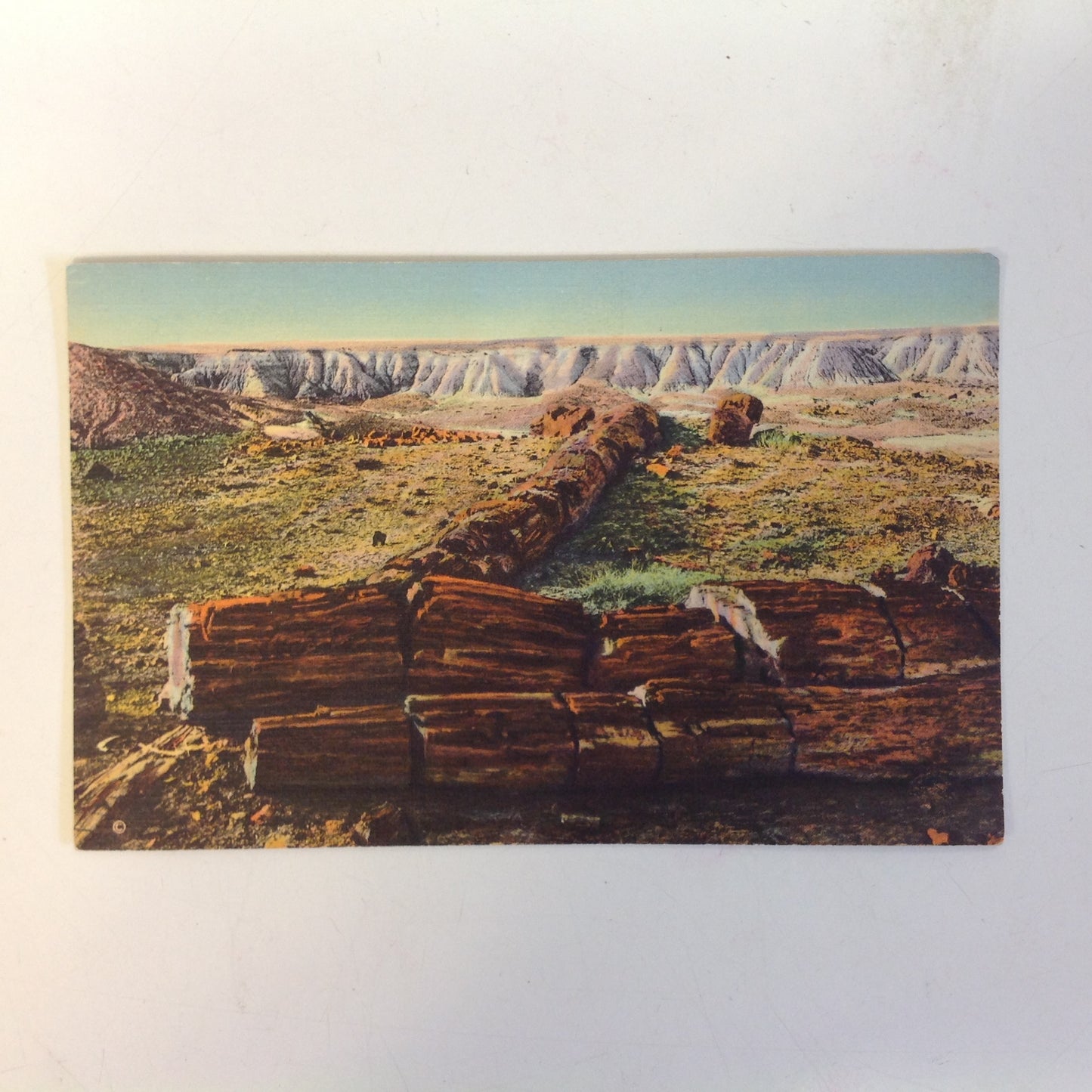 Vintage Curteich Color Postcard The Twin Sisters in Second Forest Petrified Forest Arizona