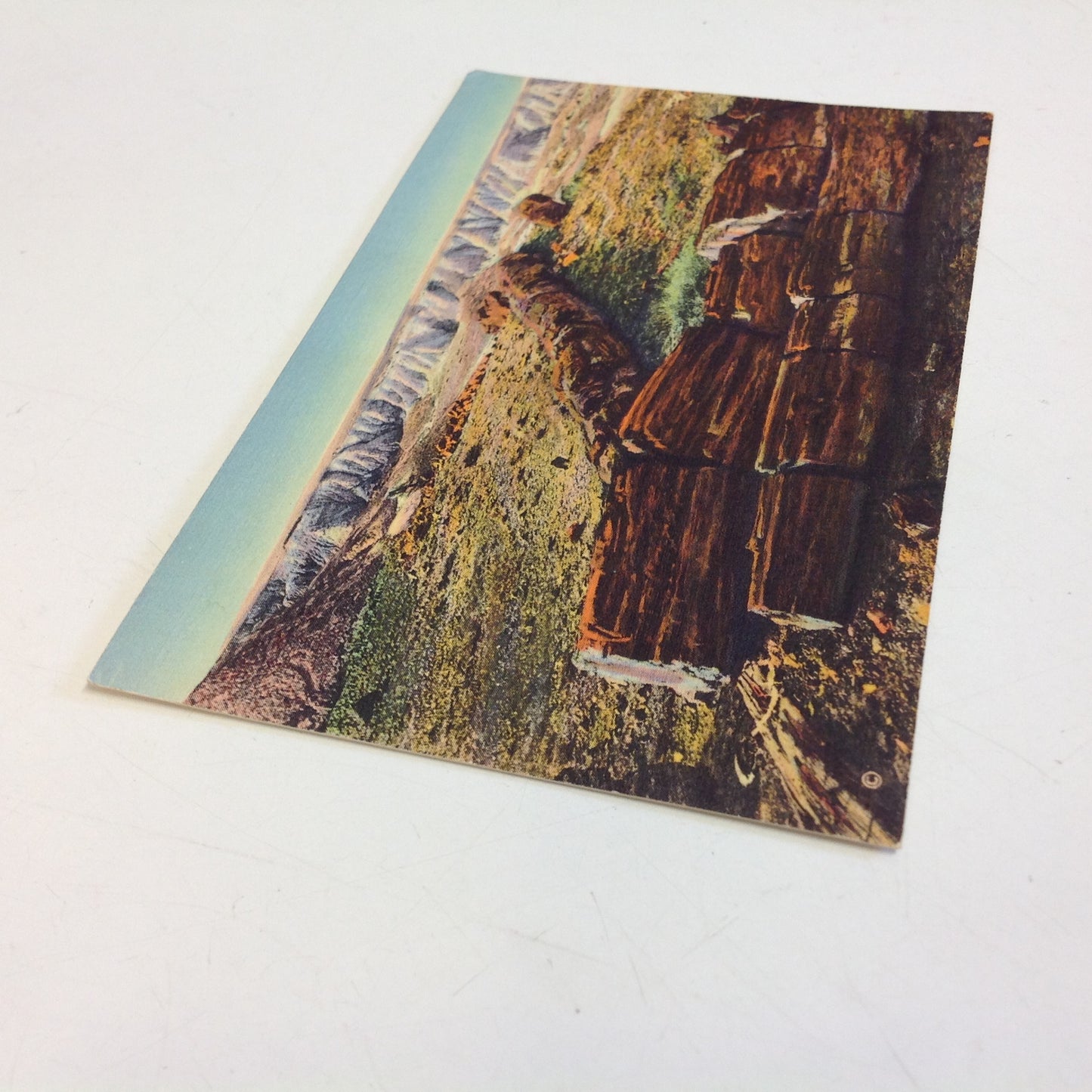 Vintage Curteich Color Postcard The Twin Sisters in Second Forest Petrified Forest Arizona