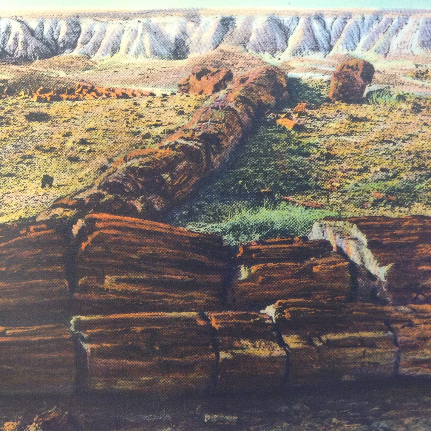 Vintage Curteich Color Postcard The Twin Sisters in Second Forest Petrified Forest Arizona