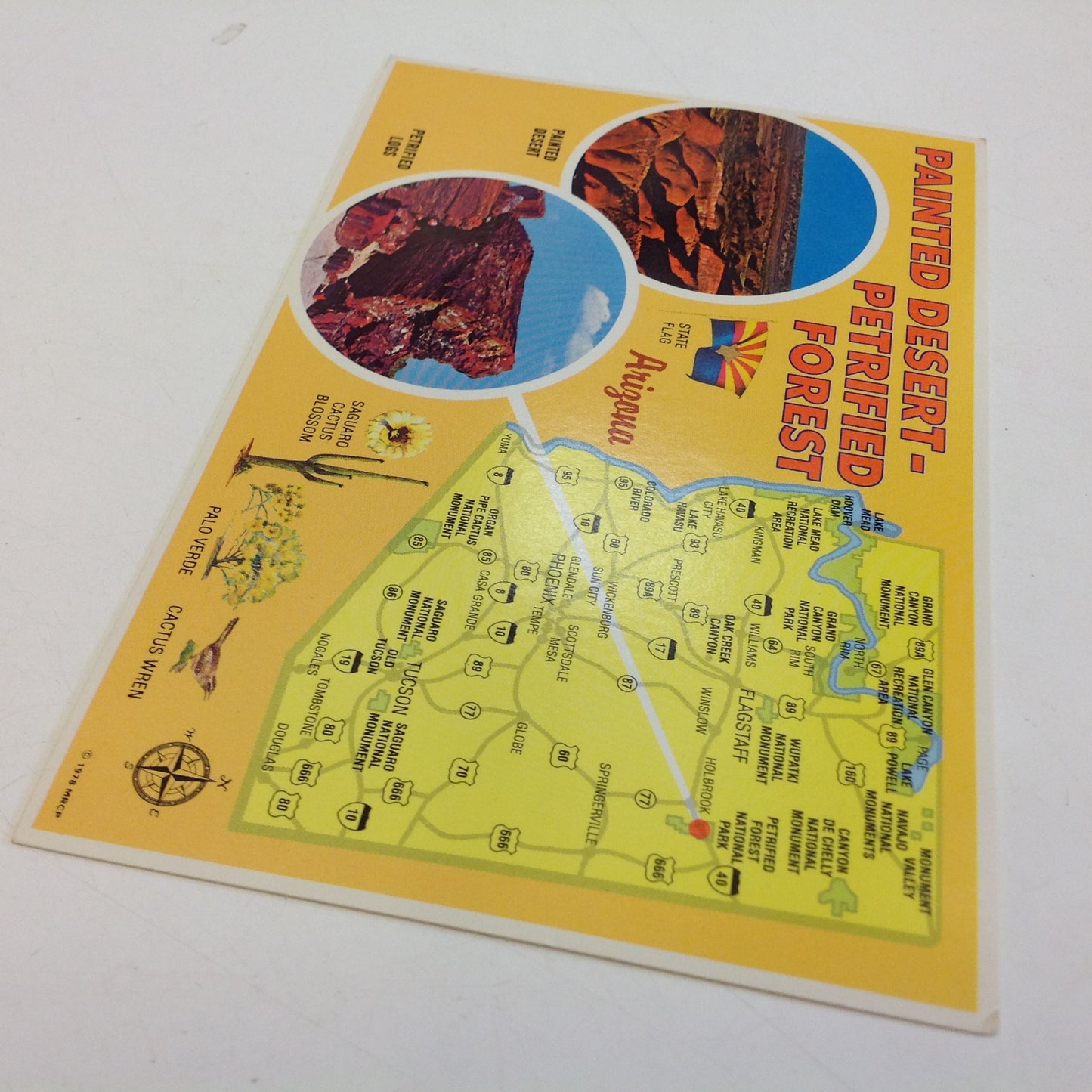Vintage 1978 Petley Mini Print Souvenir Color Postcard State Map Petrified Logs Petrified Forest Painted Desert Bordering US 66 Arizona