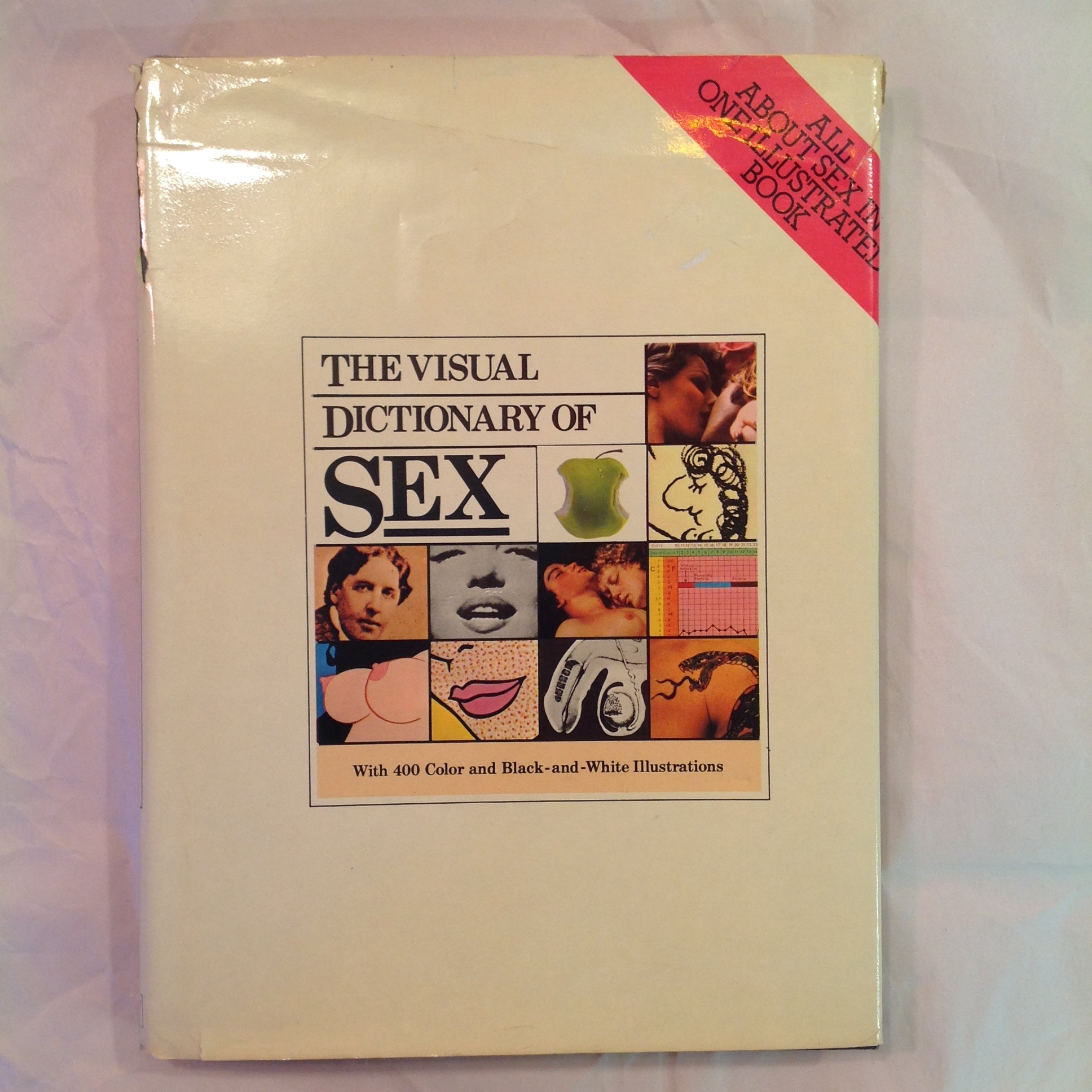 Vintage 1977 Hardcover with Dust Jacket The Visual Dictionary of  