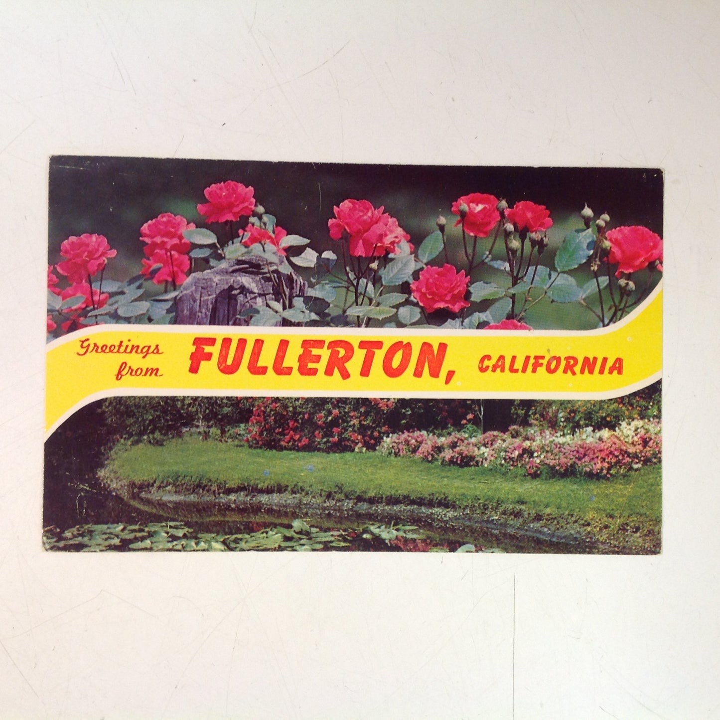 Vintage Dexter Press Repro Souvenir Color Postcard Primrose Creek Banks Greetings From Fullerton California