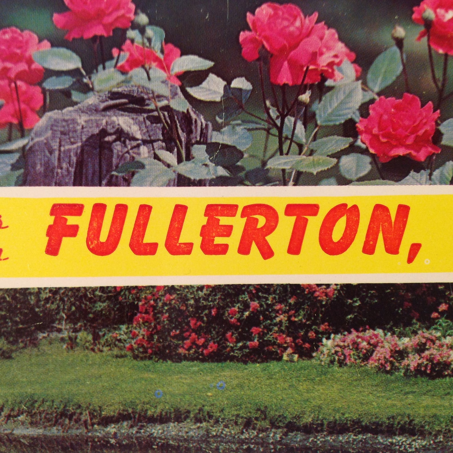 Vintage Dexter Press Repro Souvenir Color Postcard Primrose Creek Banks Greetings From Fullerton California