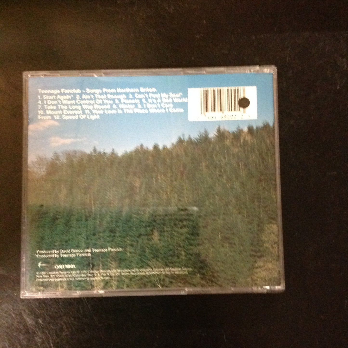 Teenage Fan Club - Songs From Northern Britain *Single #252