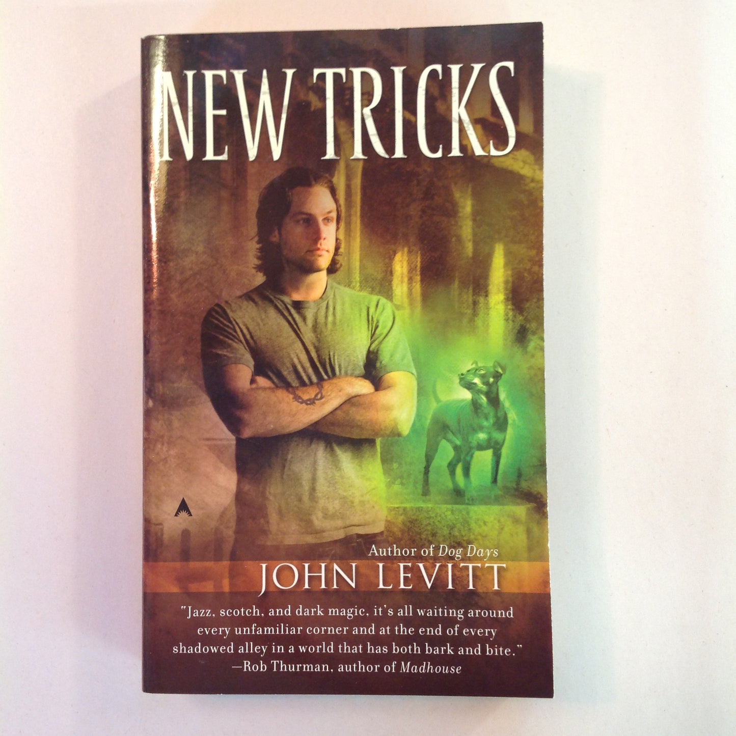 2008 Mass Market Paperback New Tricks John Levitt First Edition