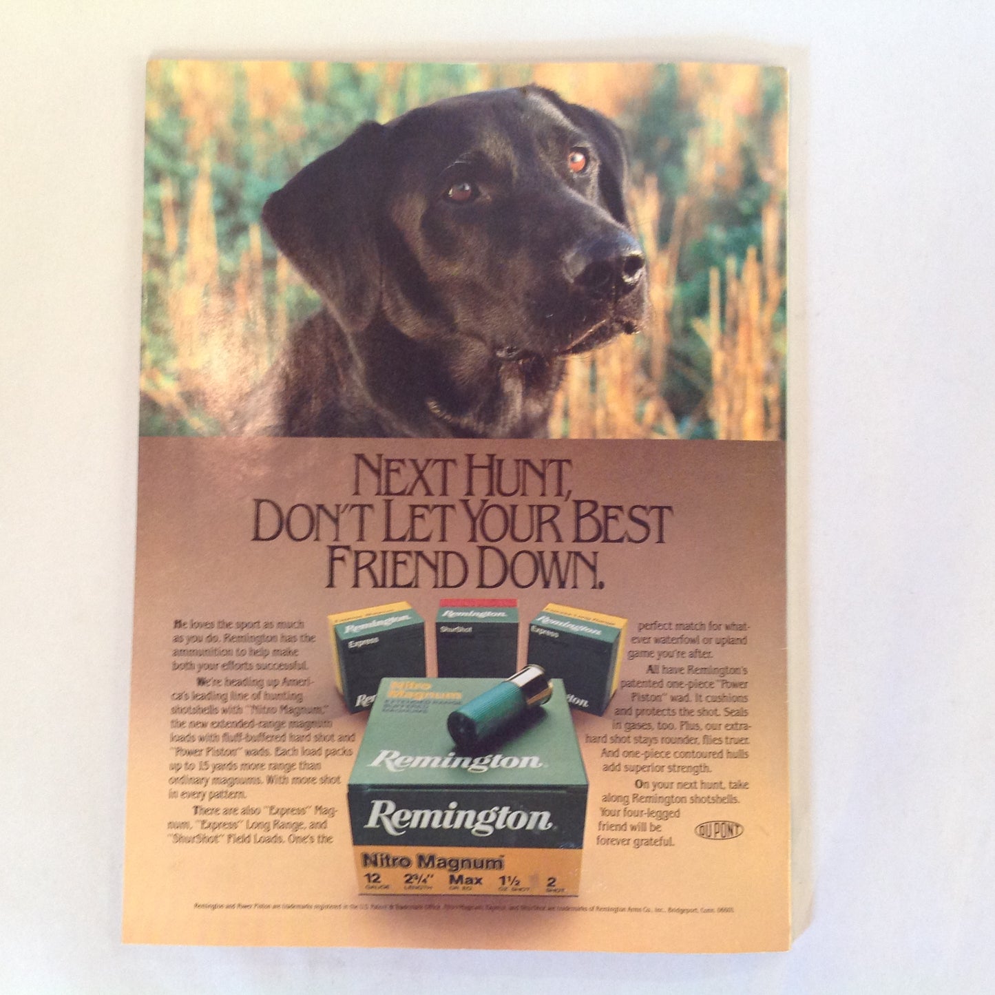 Vintage Aug 1984 Guns & Ammo Magazine Bren Ten 10mm Powerhouse