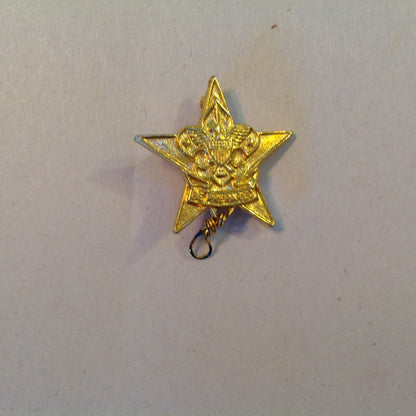 Vintage Boy Scouts of America Large Star Scout Emblem Pin