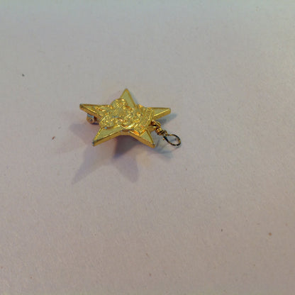 Vintage Boy Scouts of America Large Star Scout Emblem Pin