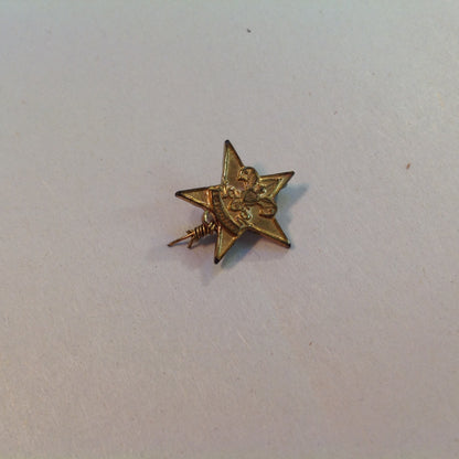 Vintage Boy Scouts of America Small Star Scout Emblem Pin