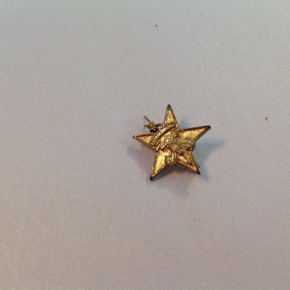 Vintage Boy Scouts of America Small Star Scout Emblem Pin