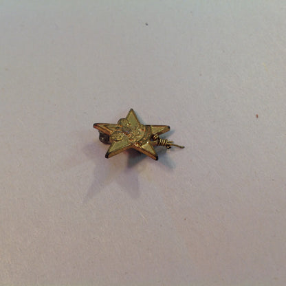 Vintage Boy Scouts of America Small Star Scout Emblem Pin