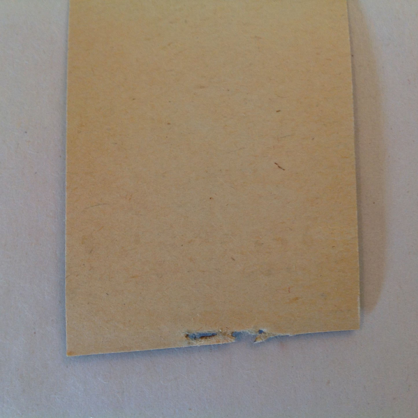 Vintage Matchbook Cover Yellowstone Park Company Bear Geyser Graphics Mid Century