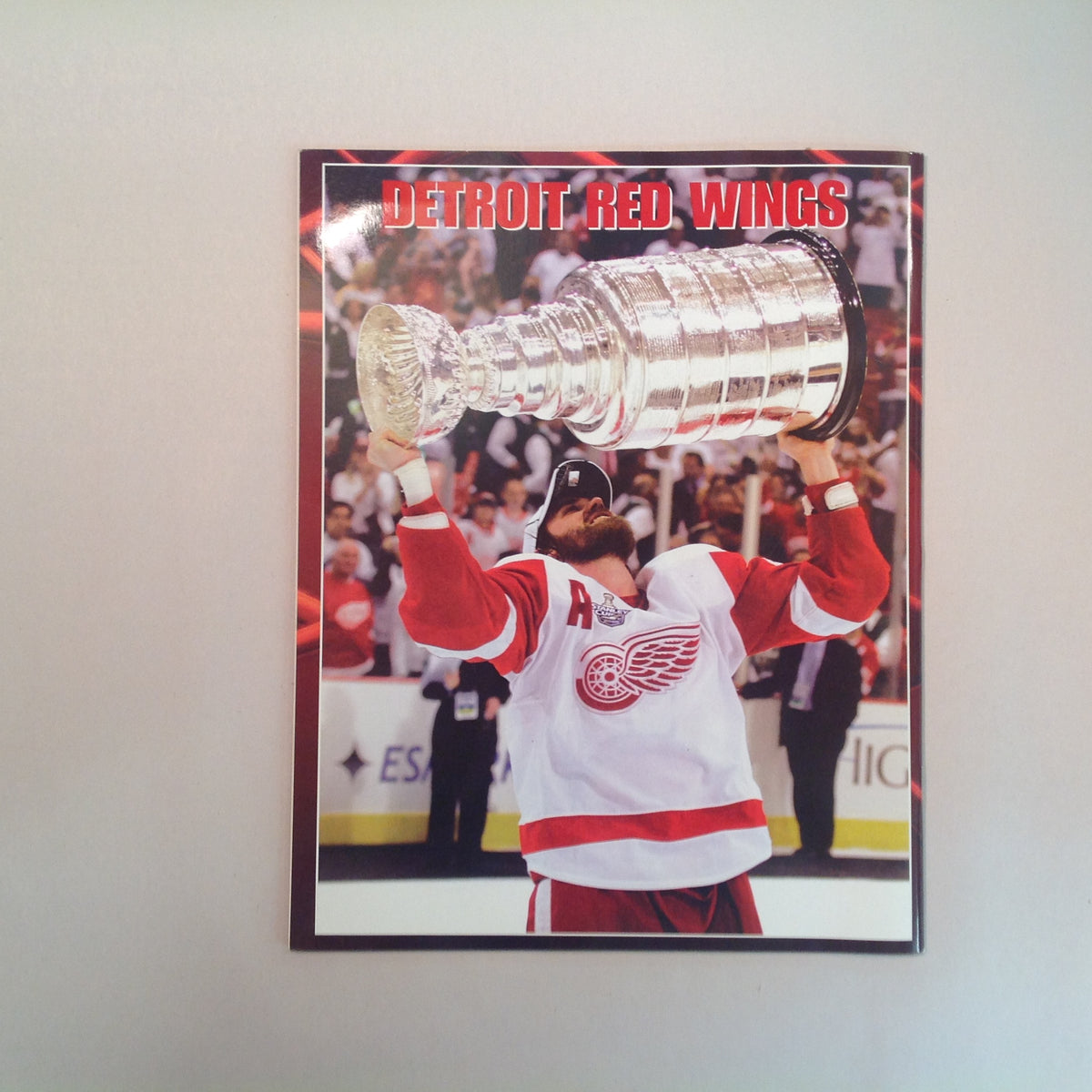 Vintage Detroit Red Wings 2008 Stanley Cup Champions Special Commemorative Issue