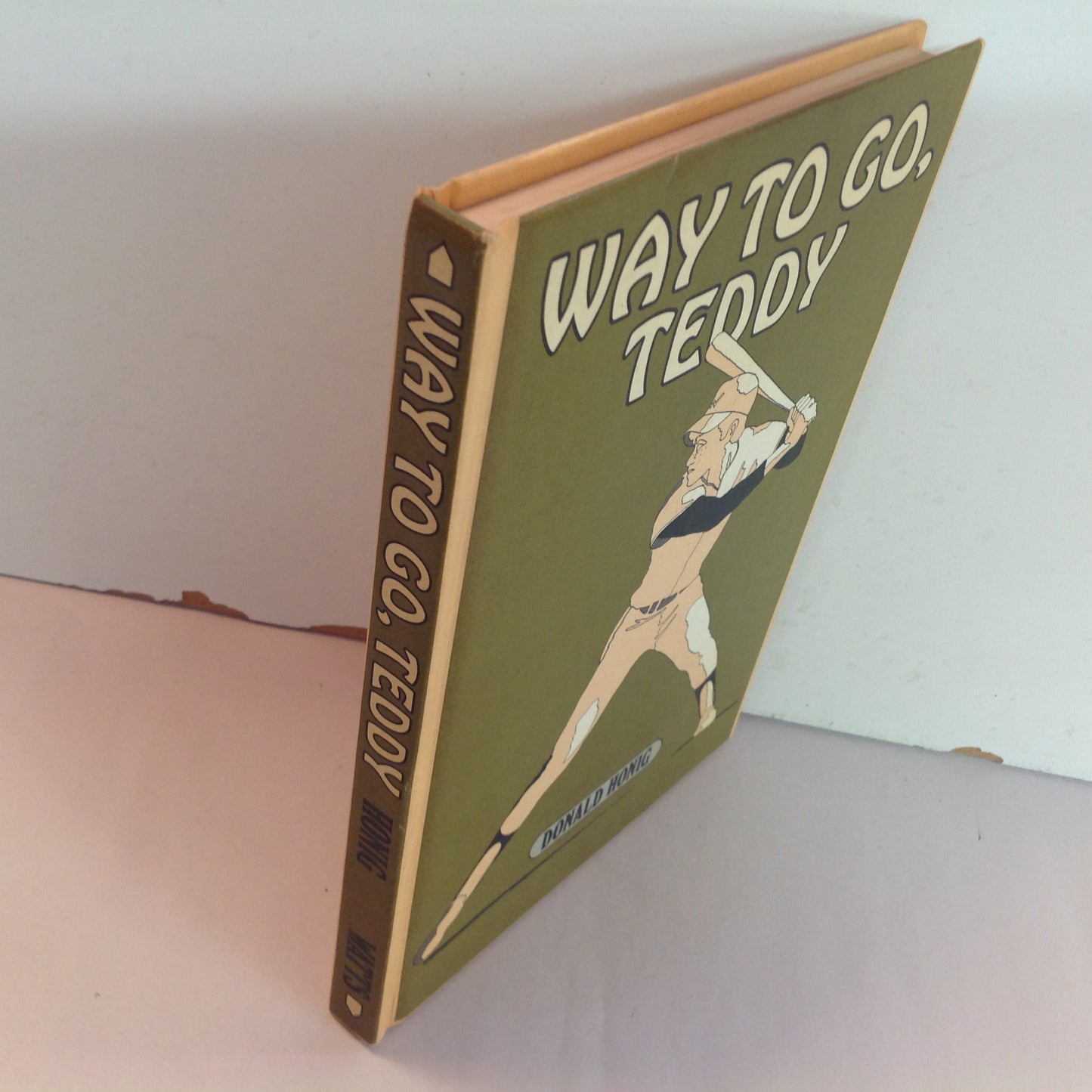 Vintage 1973 Children's Hardcover Way to Go, Teddy Donald Honig