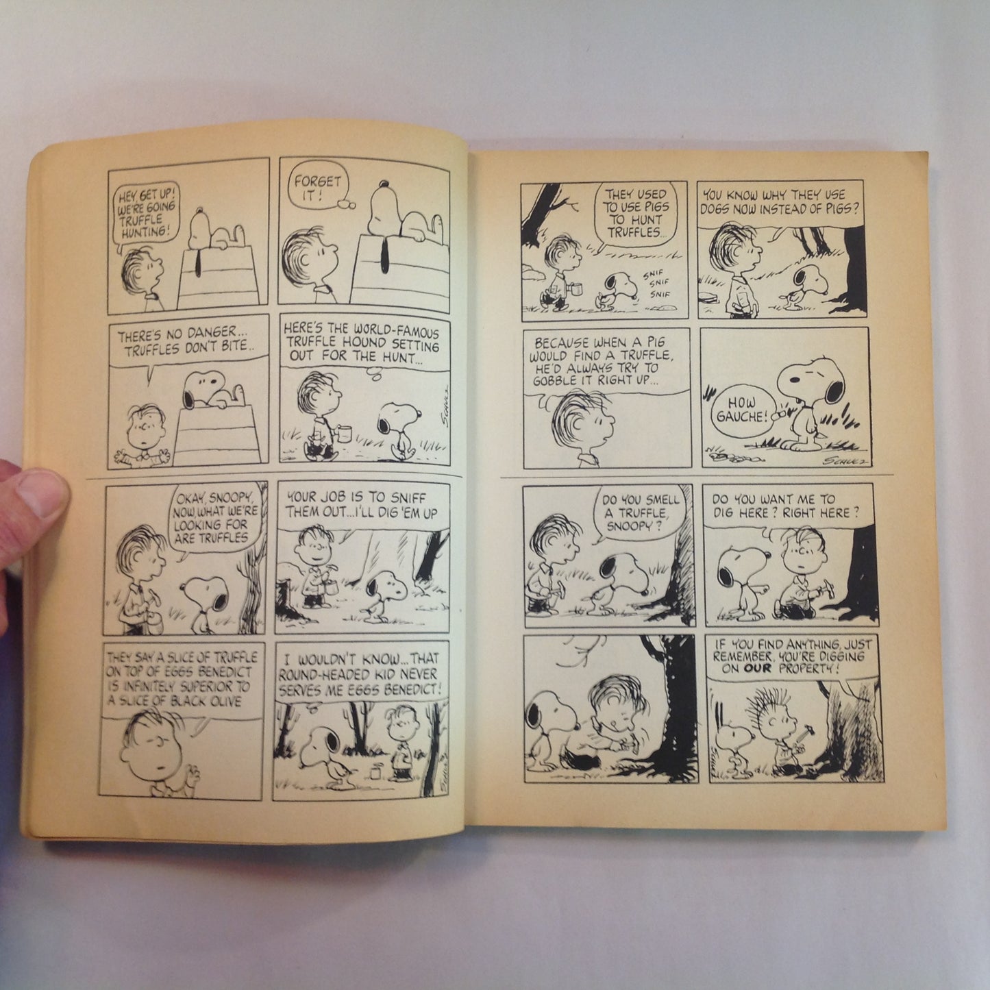 Vintage 1976 Trade Paperback Peanuts Parade: Don't Hassle Me With Your Sighs, Chuck Charles M. Schulz