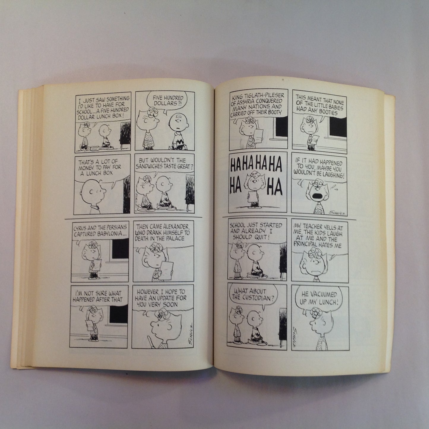 Vintage 1979 Trade Paperback Peanuts Parade: And A Woodstock in A Birch Tree Charles M. Schulz