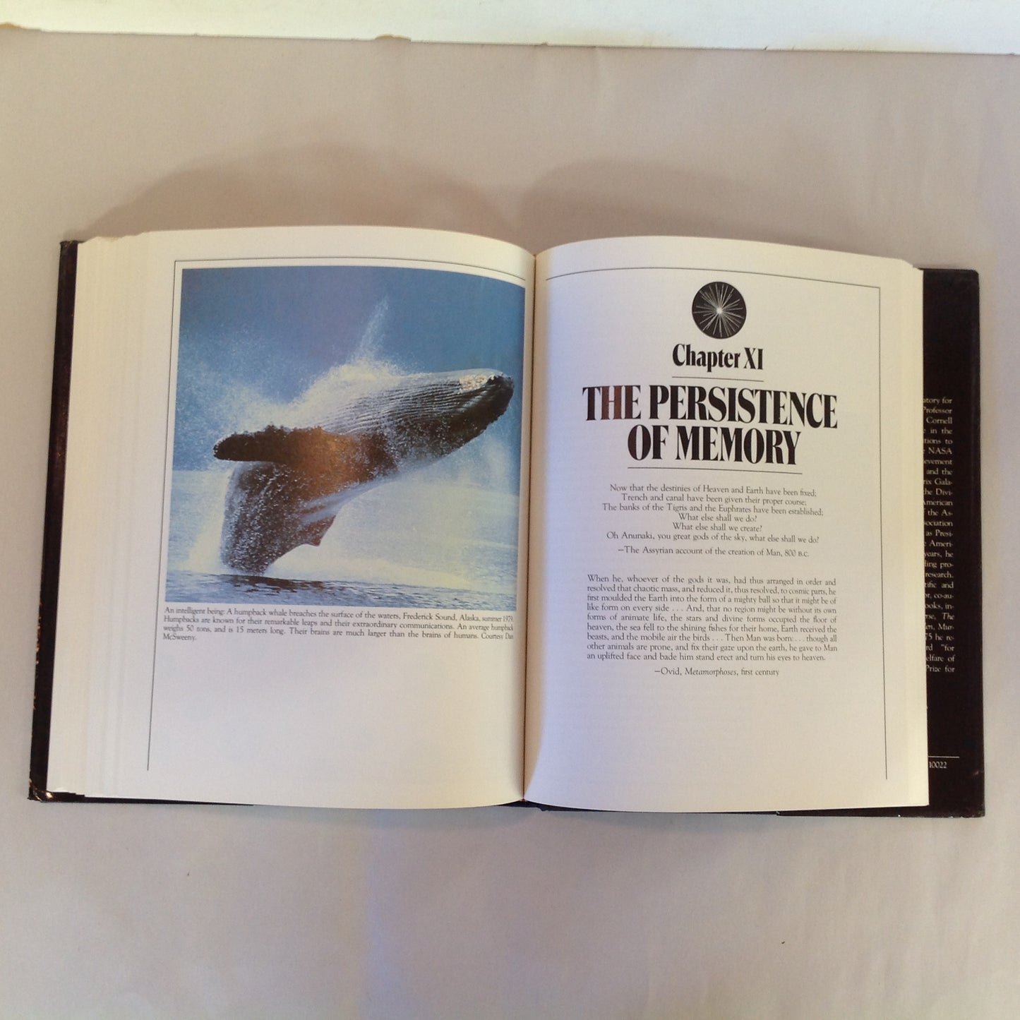 Vintage 1980 Hardcover Cosmos Carl Sagan