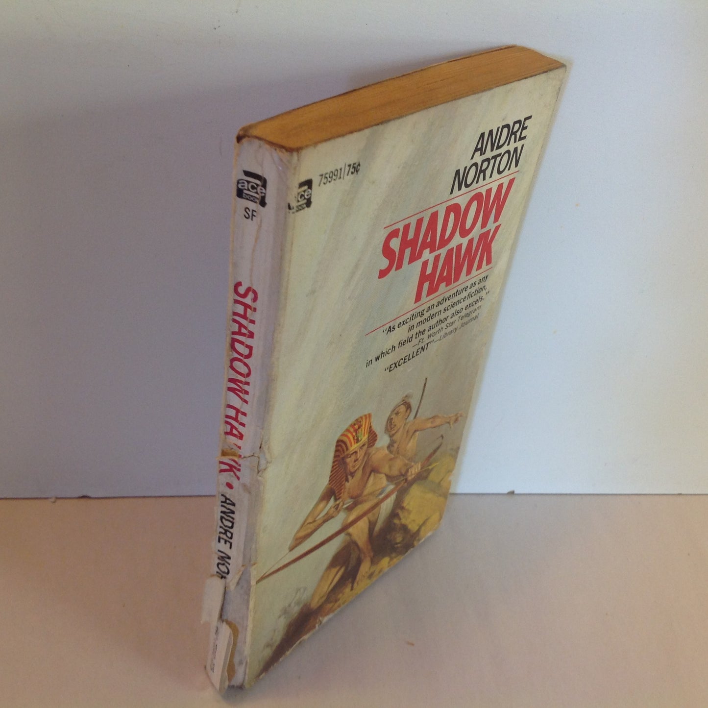 Vintage 1960 Mass Market Paperback Shadow Hawk Andre Norton ACE Books