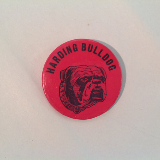 Vintage Souvenir Pinback Harding Academy Mississippi State Bulldog Red Dog Image
