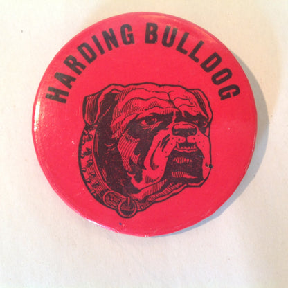 Vintage Souvenir Pinback Harding Academy Mississippi State Bulldog Red Dog Image