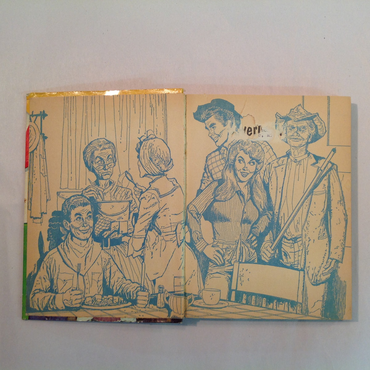 Vintage 1963 Hardcover The Beverly Hillbillies: The Saga of Wildcat Creek Doris Schroeder Illustrated TV Tie-In