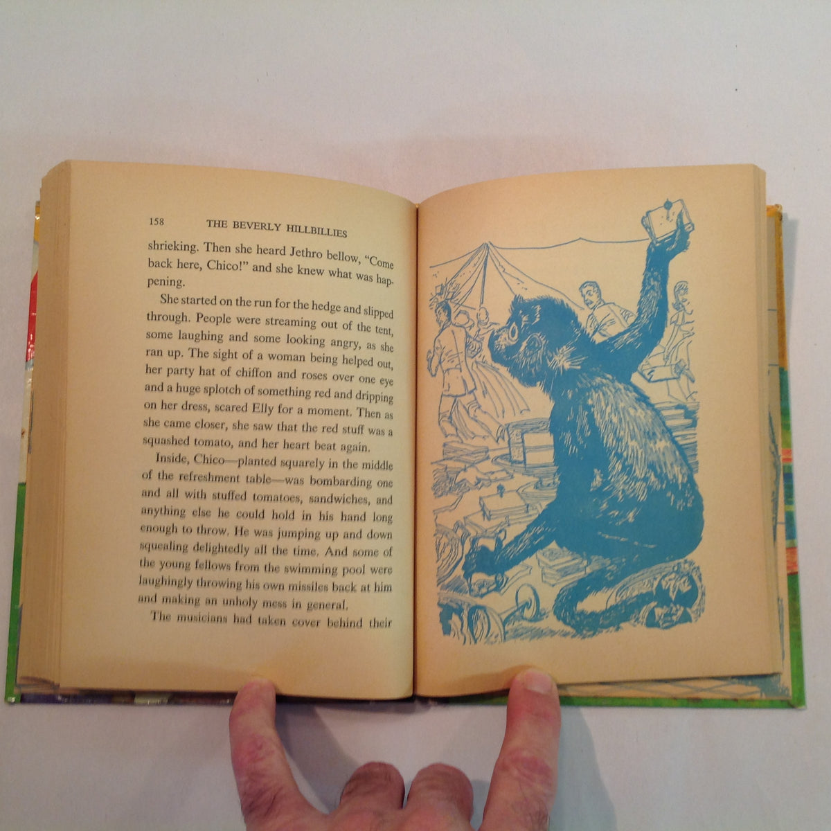 Vintage 1963 Hardcover The Beverly Hillbillies: The Saga of Wildcat Creek Doris Schroeder Illustrated TV Tie-In