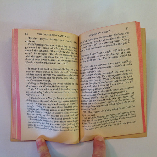 Vintage 1971 Mass Market Paperback The Partridge Family #5: Terror By Night Vic Crume Columbia Pictures