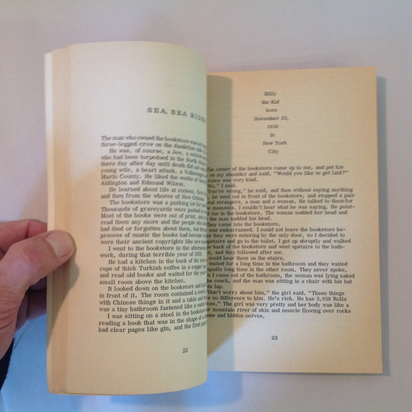 Vintage 1967 Trade Paperback Trout Fishing In America Richard Brautigan Delta