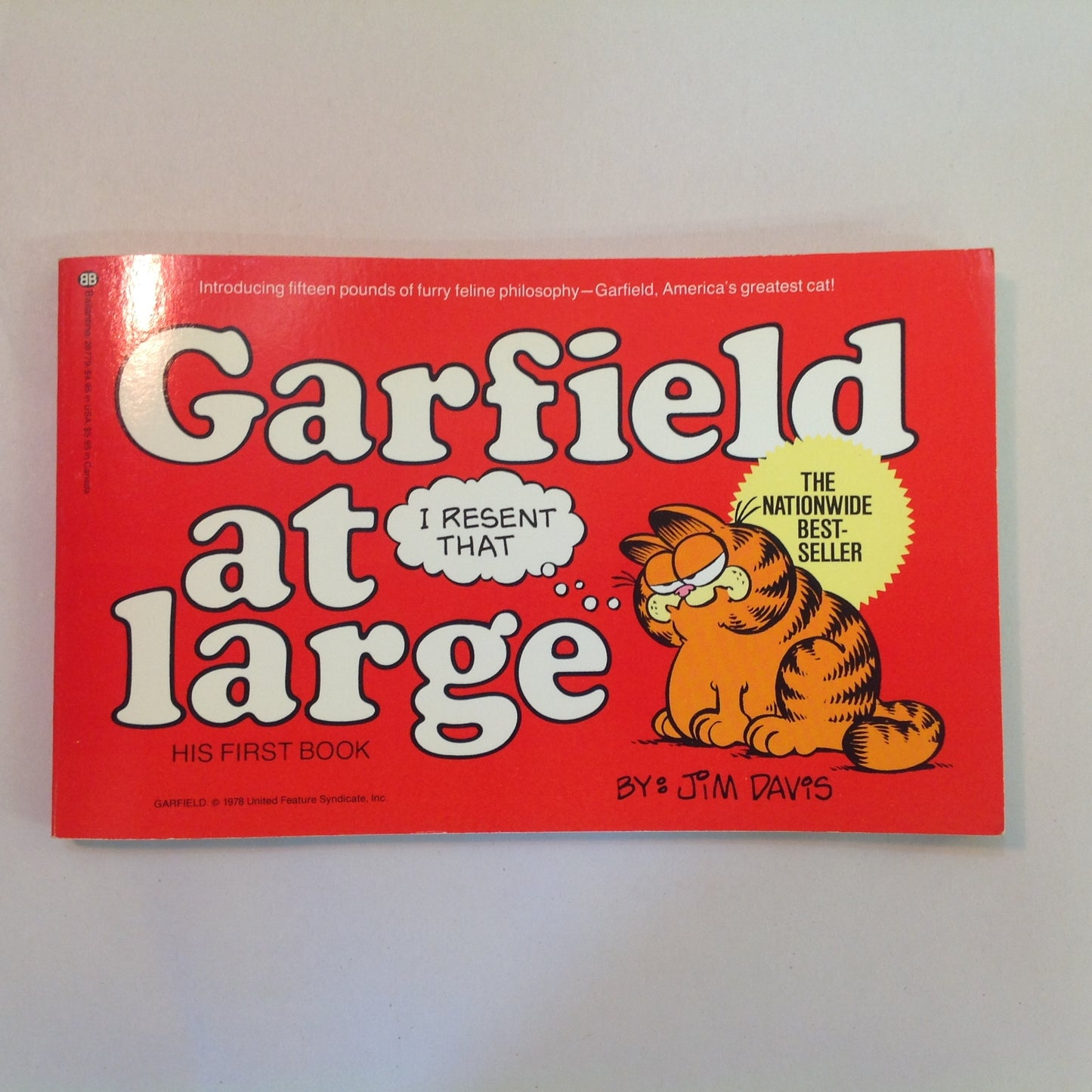 Vintage 1980 Trade Paperback Garfield At Large: His First Book Jim Davis