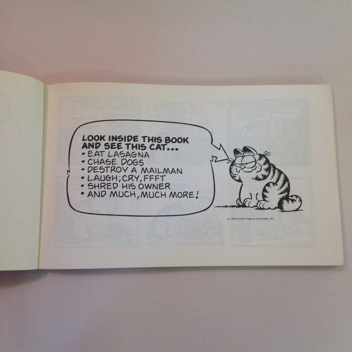 Vintage 1980 Trade Paperback Garfield At Large: His First Book Jim Davis