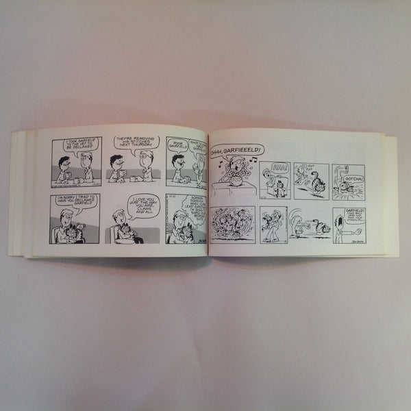Vintage 1980 Trade Paperback Garfield At Large: His First Book Jim Davis
