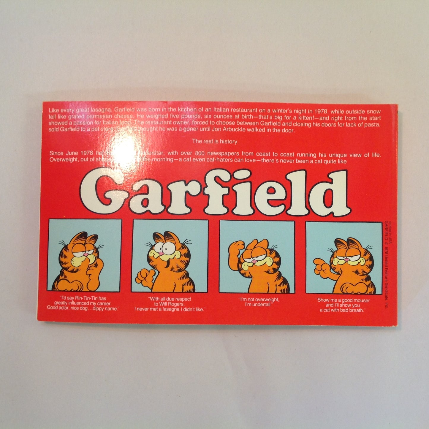 Vintage 1980 Trade Paperback Garfield At Large: His First Book Jim Davis