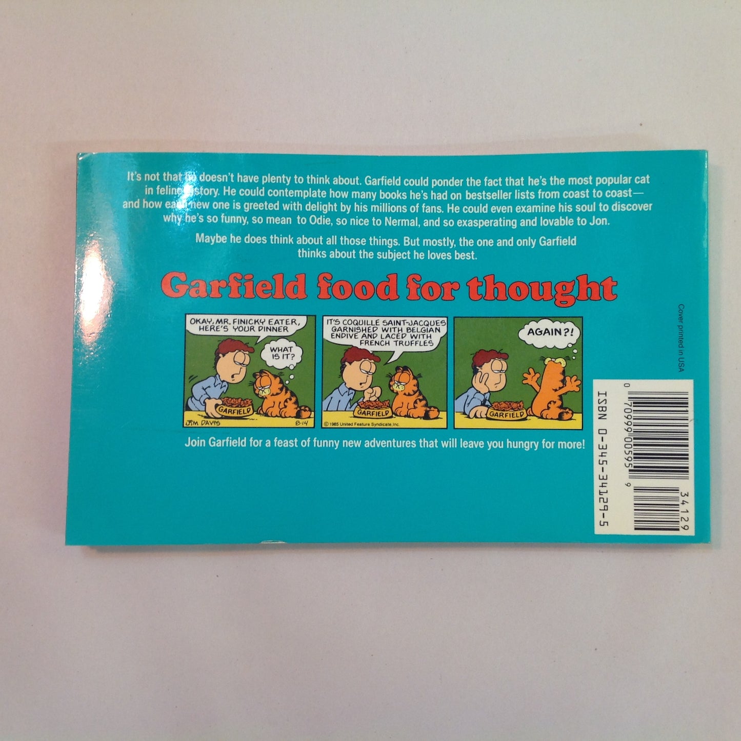 Vintage 1987 Trade Paperback Garfield Food For Thought: His 13th Book Jim Davis First Edition