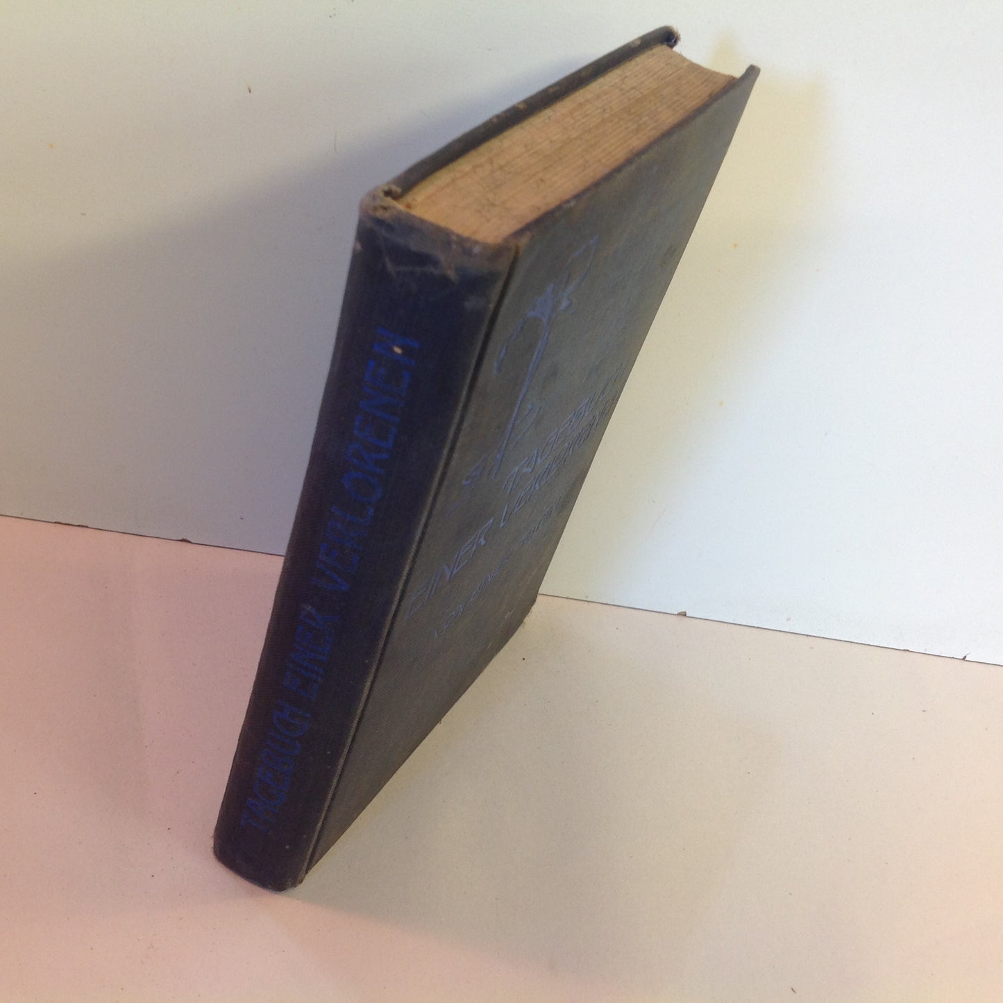 Vintage 1909 Hardcover Tagebuch Einer Verlorenen (Diary of a Lost Girl) Von Einer Toten German Language Book